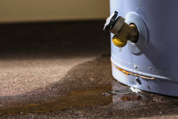 Water damage restoration mold remediation in Zellwood, FL