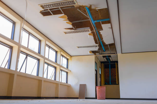 Best Flood damage cleanup  in Zellwood, FL