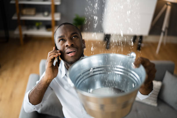 Best Water damage contractors near me  in Zellwood, FL
