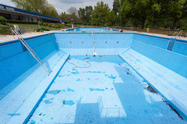Best Flood restoration services  in Zellwood, FL