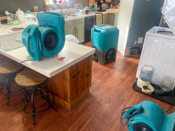 Best Local water damage restoration  in Zellwood, FL