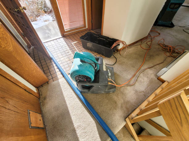 Fire Damage Restoration in Zellwood, FL
