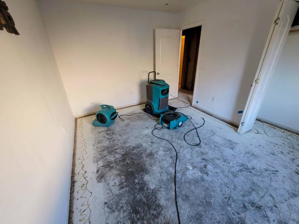 Best Water damage cleanup near me  in Zellwood, FL