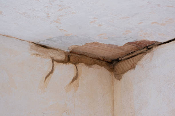 Best Flooded house restoration  in Zellwood, FL