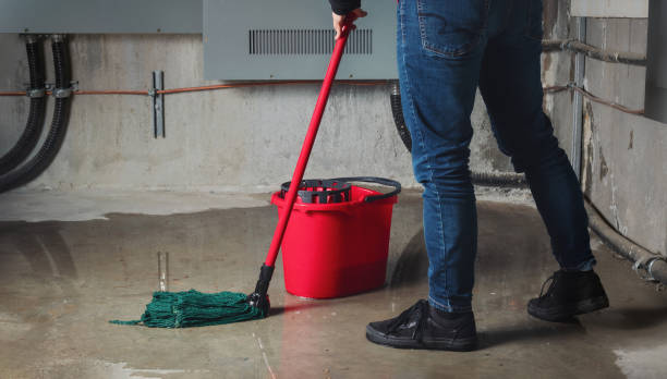 Best 24/7 water damage repair  in Zellwood, FL