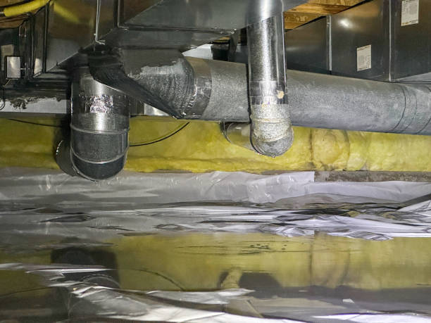 Best Commercial water damage restoration  in Zellwood, FL