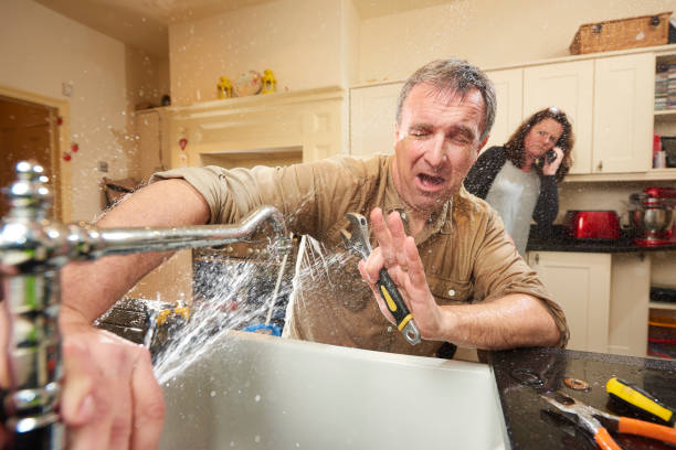 Best Residential water damage restoration  in Zellwood, FL
